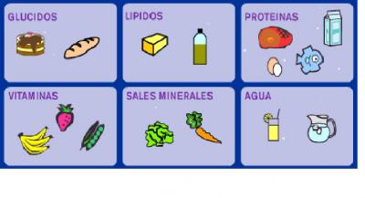 Actividad N&uacute;mero 1: Reconoce los alimentos.